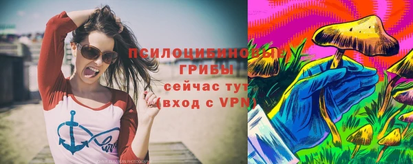 твердый Балахна