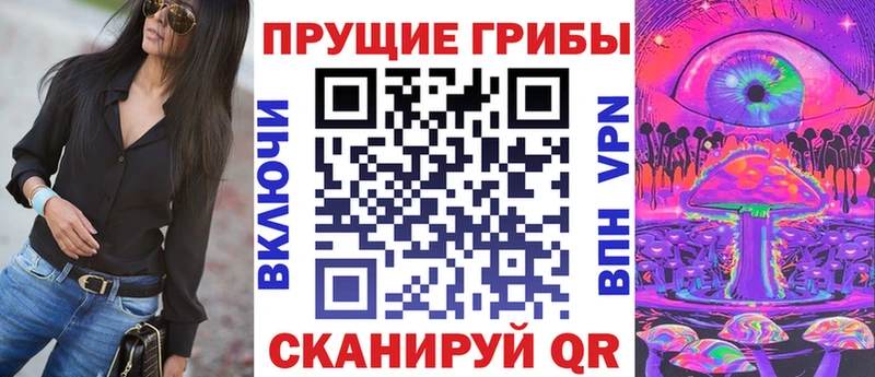 Галлюциногенные грибы Psilocybe  omg зеркало  Севск 