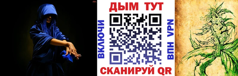 где можно купить   Севск  Конопля планчик 